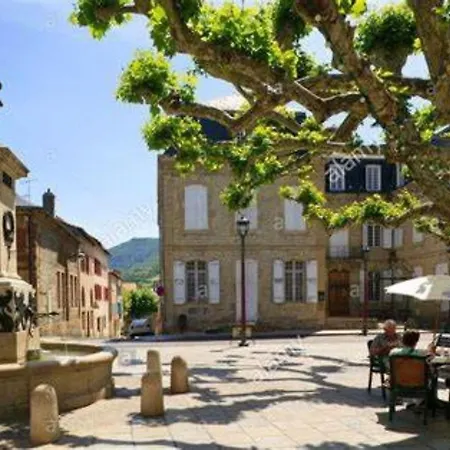 Occ34 - - Vigneron