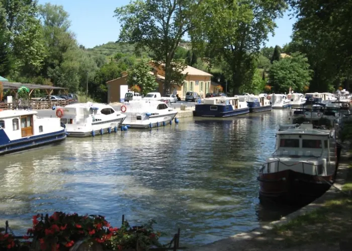 Occ34 - - Vigneron Capestang